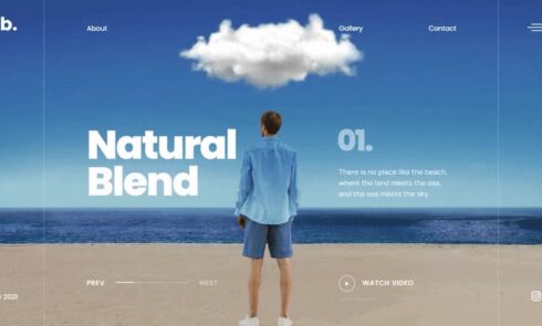 Natural Blend website